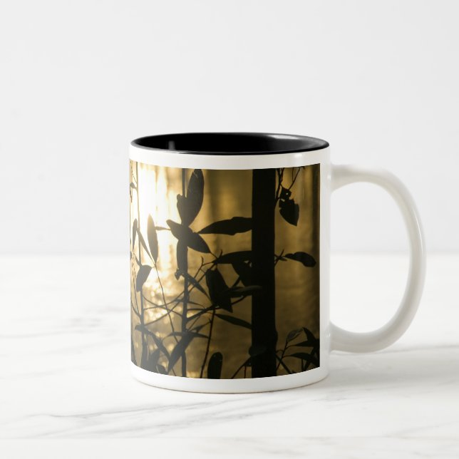 USA, Georgia, Callaway Gardens, Sunrise Two-Tone Coffee Mug (Right)