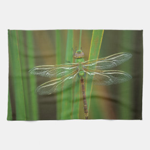 USA, Georgia. Green darner dragonfly on reeds Tea Towel