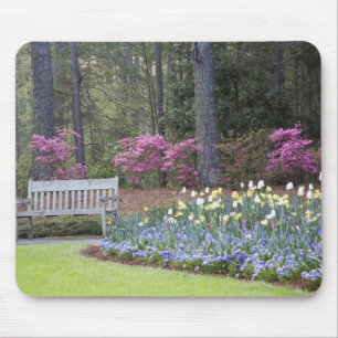 USA, Georgia, Pine Mountain. A border of Mouse Mat