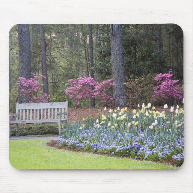 USA, Georgia, Pine Mountain. A border of Mouse Mat (Front)