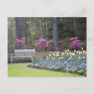 USA, Georgia, Pine Mountain. A border of Postcard