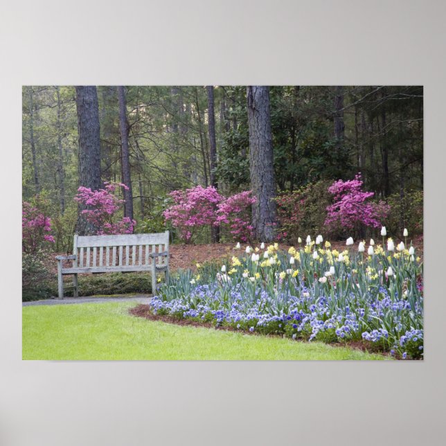 USA, Georgia, Pine Mountain. A border of Poster (Front)