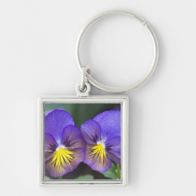 USA, Georgia, Pine Mountain. A closeup of pansy Key Ring (Front)