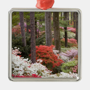 USA, Georgia, Pine Mountain. A forest of Metal Tree Decoration