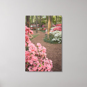 USA, Georgia, Pine Mountain. A pathway through Canvas Print