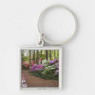 USA, Georgia, Pine Mountain. A pathway through Key Ring