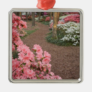 USA, Georgia, Pine Mountain. A pathway through Metal Tree Decoration