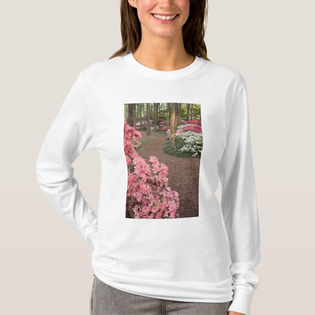 USA, Georgia, Pine Mountain. A pathway through T-Shirt (Front)
