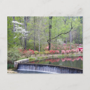USA, Georgia, Pine Mountain. A small waterfall Postcard