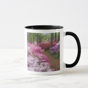 USA; Georgia; Pine Mountain. Azaleas at 2 Mug