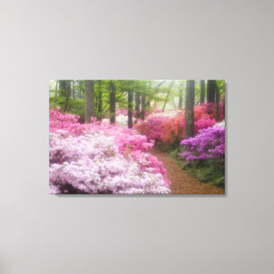 USA; Georgia; Pine Mountain. Azaleas at Canvas Print