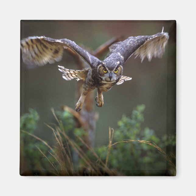 USA, Georgia, Pine Mountain, Callaway Gardens. Magnet (Front)