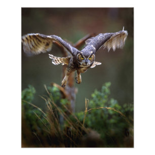 USA, Georgia, Pine Mountain, Callaway Gardens. Photo Print