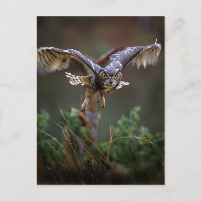 USA, Georgia, Pine Mountain, Callaway Gardens. Postcard (Front)