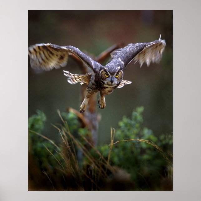USA, Georgia, Pine Mountain, Callaway Gardens. Poster (Front)