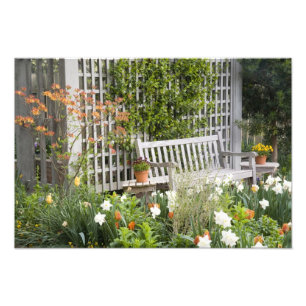 USA, Georgia, Pine Mountain. Chair in the Photo Print