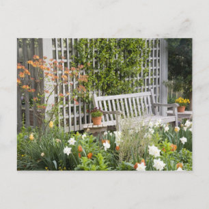 USA, Georgia, Pine Mountain. Chair in the Postcard