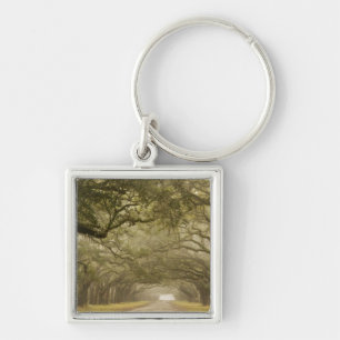 USA, Georgia, Savannah, An oak lined drive in Key Ring