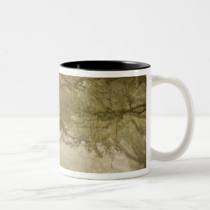 USA, Georgia, Savannah, An oak lined drive in Two-Tone Coffee Mug