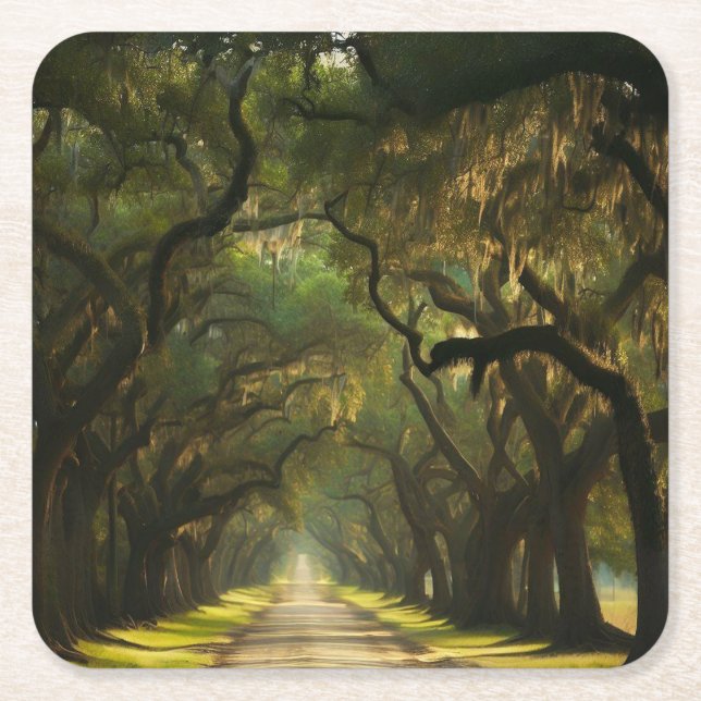 USA, Georgia, Savannah, An oak lined drive  Square Paper Coaster (Front)