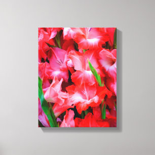 USA, Georgia, Savannah, Bouquet Of Gladiolus Canvas Print