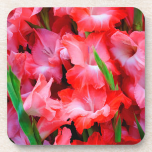USA, Georgia, Savannah, Bouquet Of Gladiolus Coaster