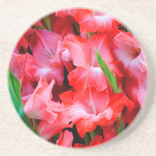 USA, Georgia, Savannah, Bouquet Of Gladiolus Coaster