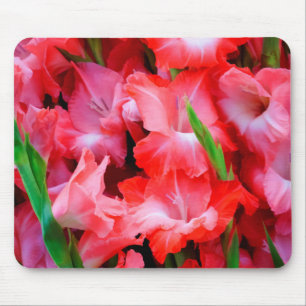 USA, Georgia, Savannah, Bouquet Of Gladiolus Mouse Mat