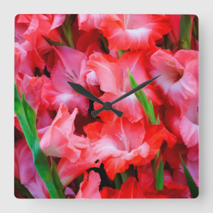 USA, Georgia, Savannah, Bouquet Of Gladiolus Square Wall Clock