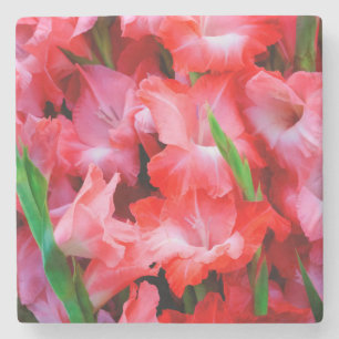 USA, Georgia, Savannah, Bouquet Of Gladiolus Stone Coaster