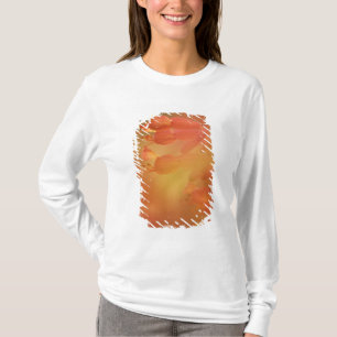USA Georgia Savannah buckeye flower abstract T-Shirt