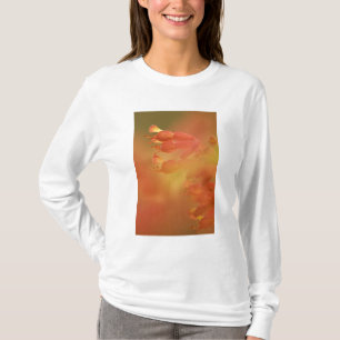 USA Georgia Savannah buckeye flower abstract T-Shirt