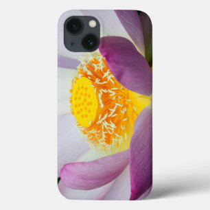 USA, Georgia, Savannah, Close-Up Of A Lotus 2 iPhone 13 Case