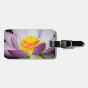 USA, Georgia, Savannah, Close-Up Of A Lotus 2 Luggage Tag