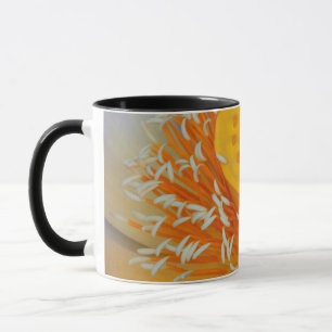 USA, Georgia, Savannah, Close-Up Of A Lotus Mug