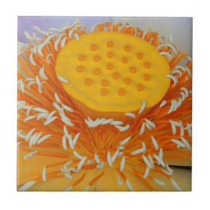 USA, Georgia, Savannah, Close-Up Of A Lotus Tile