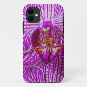 USA, Georgia, Savannah, Close-Up Of Orchid iPhone 11 Case