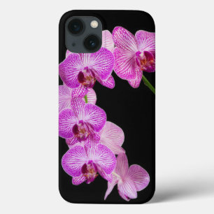 USA, Georgia, Savannah, Cluster Of Orchids 2 iPhone 13 Case