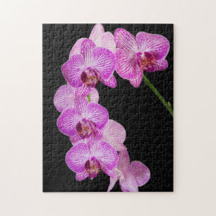 USA, Georgia, Savannah, Cluster Of Orchids 2 Jigsaw Puzzle