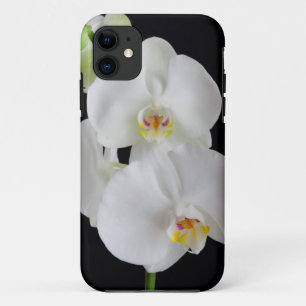 USA, Georgia, Savannah, Cluster Of Orchids iPhone 11 Case