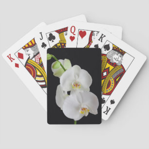 USA, Georgia, Savannah, Cluster Of Orchids Playing Cards