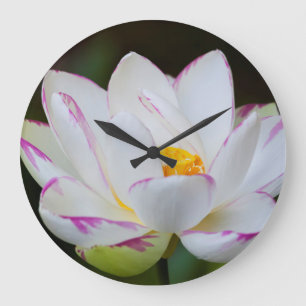 USA, Georgia, Savannah, Lootus Flower Blooming Large Clock