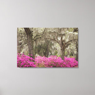 USA, Georgia, Savannah, Spring at Historic Canvas Print