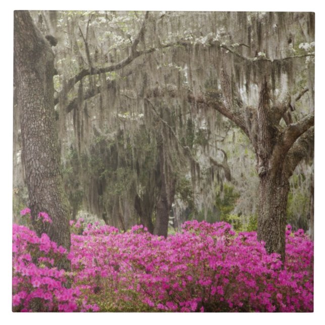 USA, Georgia, Savannah, Spring at Historic Tile (Front)