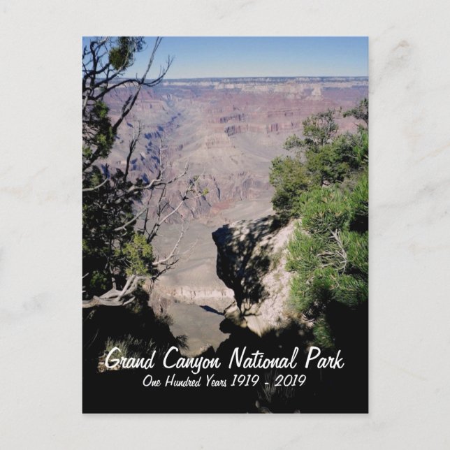 USA, Grand Canyon National Park - 100 Years Postcard (Front)