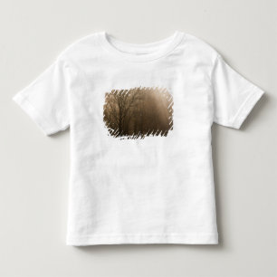 USA Great Smoky Mountain NP Tennessee trees in Toddler T-Shirt