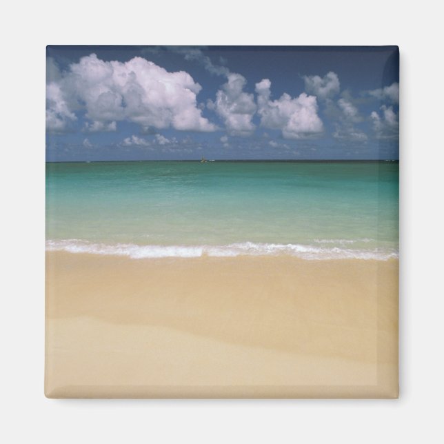 USA, Hawaii. Beach scene Magnet (Front)