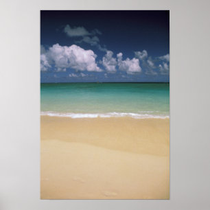 USA, Hawaii. Beach scene Poster