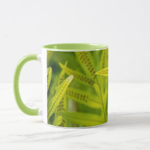 USA, Hawaii, Big Island. Tropical Green Fern Mug