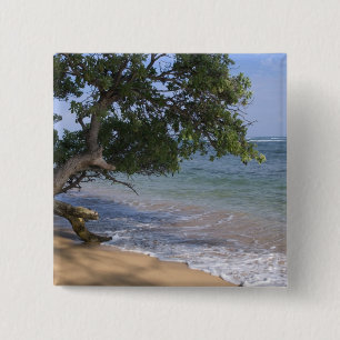 USA, Hawaii, Kauai, beach scenic. RF) 15 Cm Square Badge